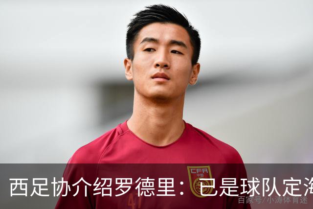 西足协介绍罗德里：已是球队定海神针，带领年轻球员向世界杯冲击